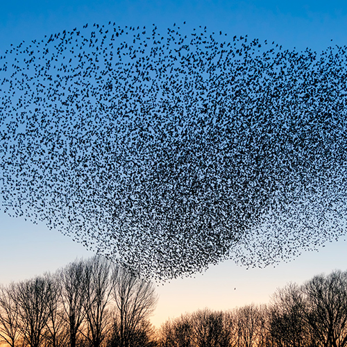 Gestion de projets : les nouveaux standards