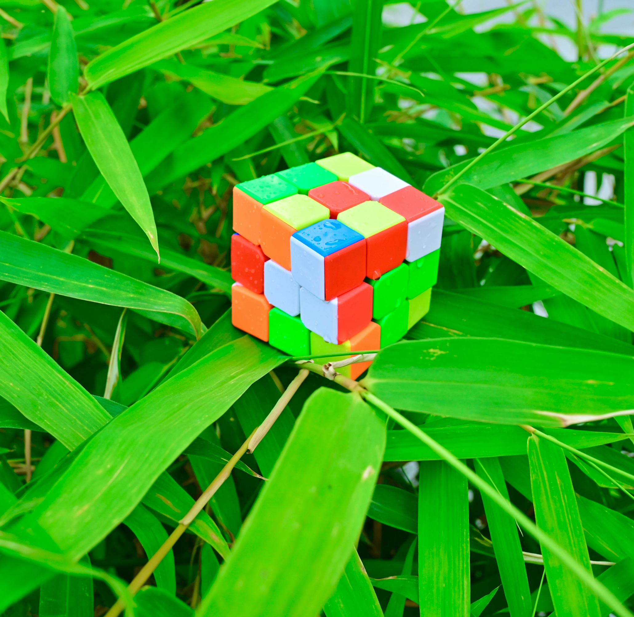 Se préparer aux métiers de demain : la grande mise à jour commence