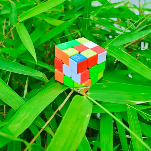 Se préparer aux métiers de demain : la grande mise à jour commence