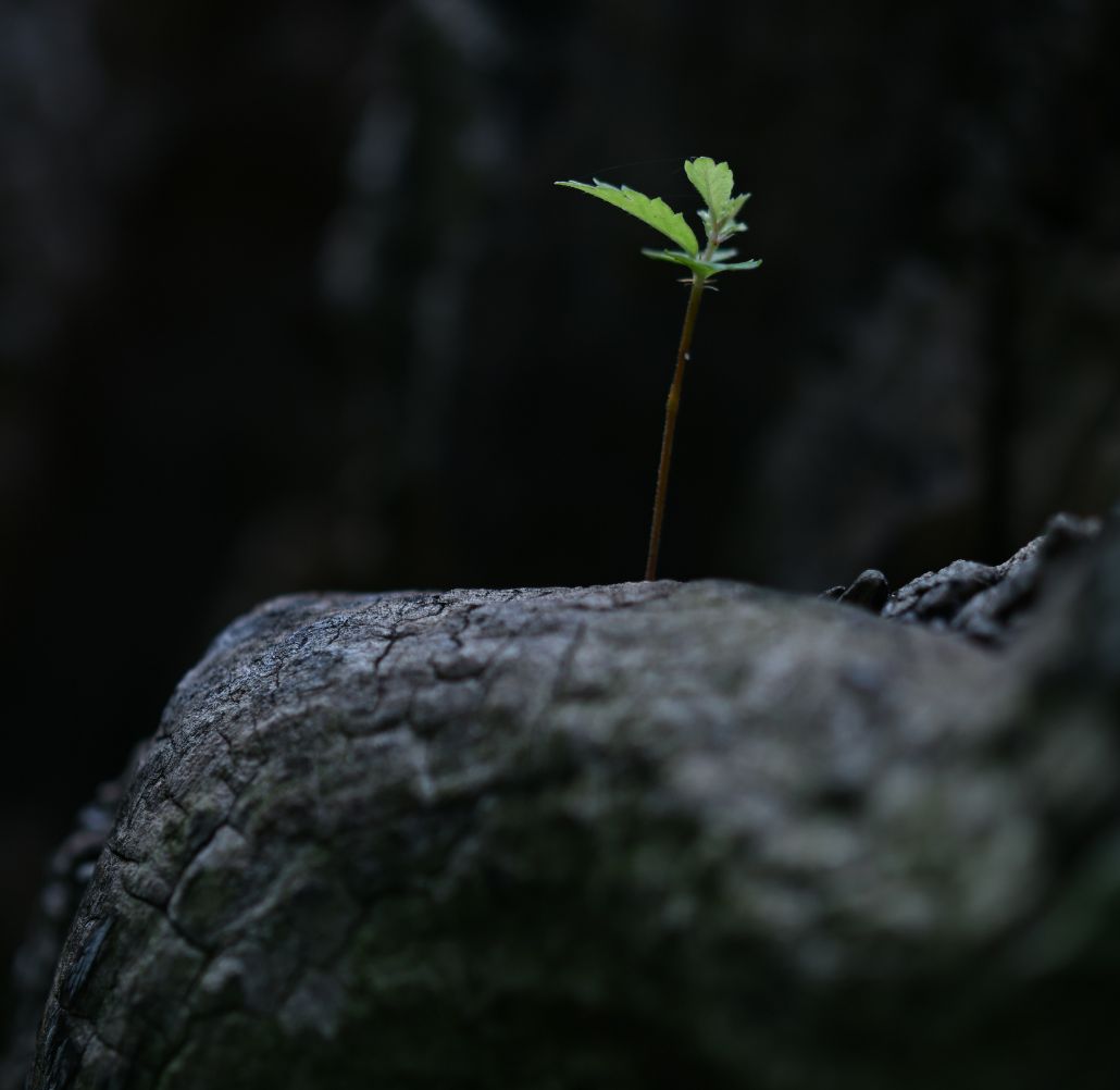 La prise de poste : l’angle mort du plan de relève