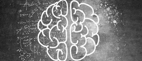Cerveau droit cerveau gauche | Technologia