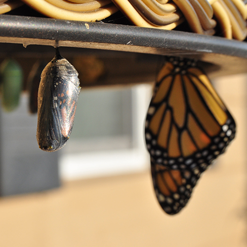 La transformation numérique, une fin ou un moyen?